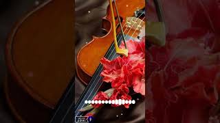 Download lagu New love violin ringtone mp3