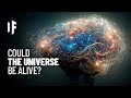 What If The Universe Is Conscious