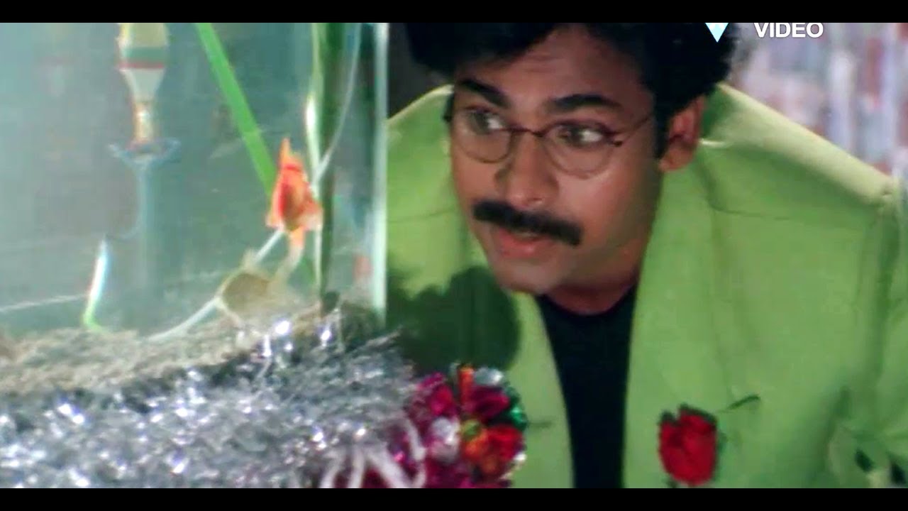 Happy Happy Birthday lu Song Lyrics from Suswagatham | Pawan Kalyan