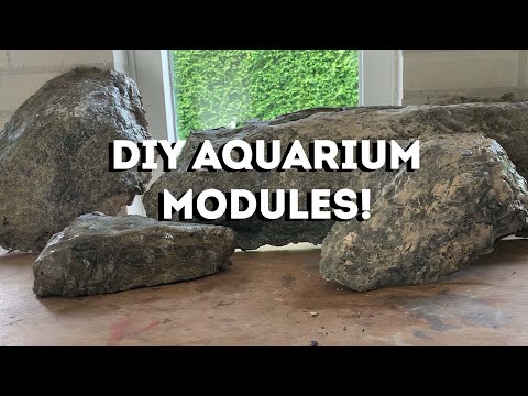 Aquarium Background / Module DIY tutorial