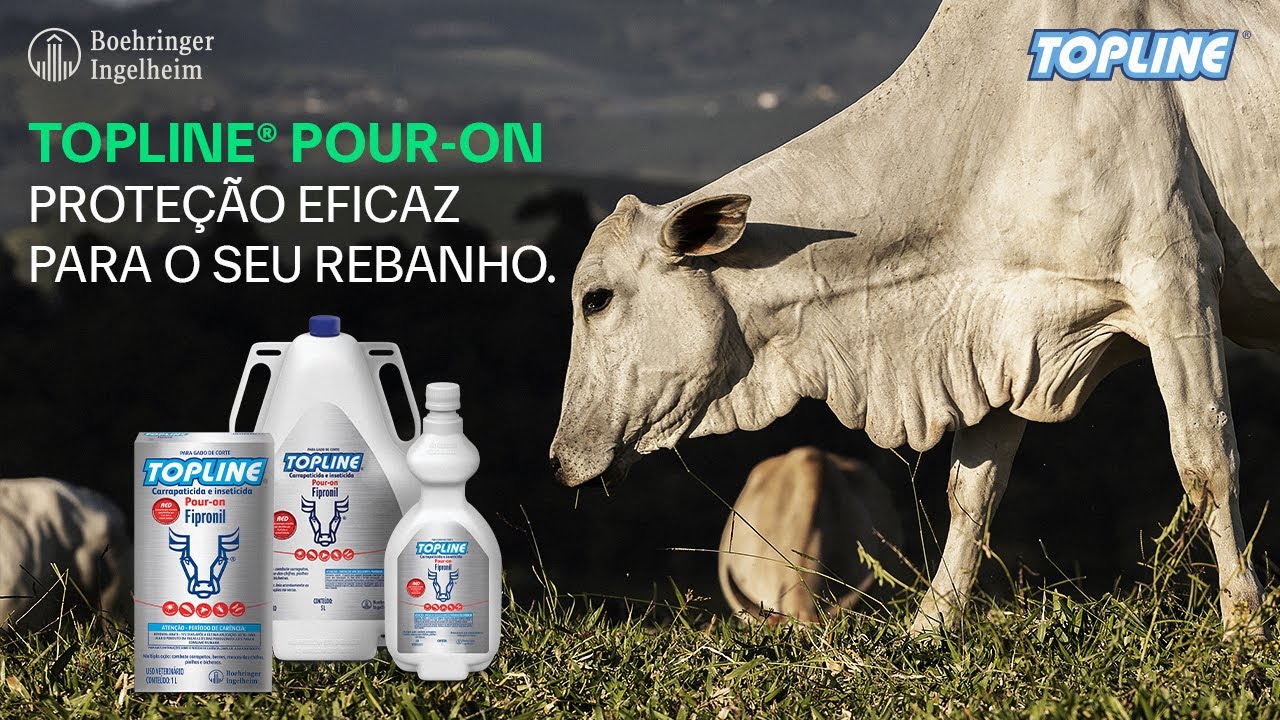 Rebanho saudável e forte com a proteção de Topline® Pour-on