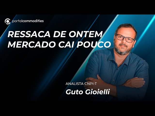 Mercado cai pouco hoje, mas cai