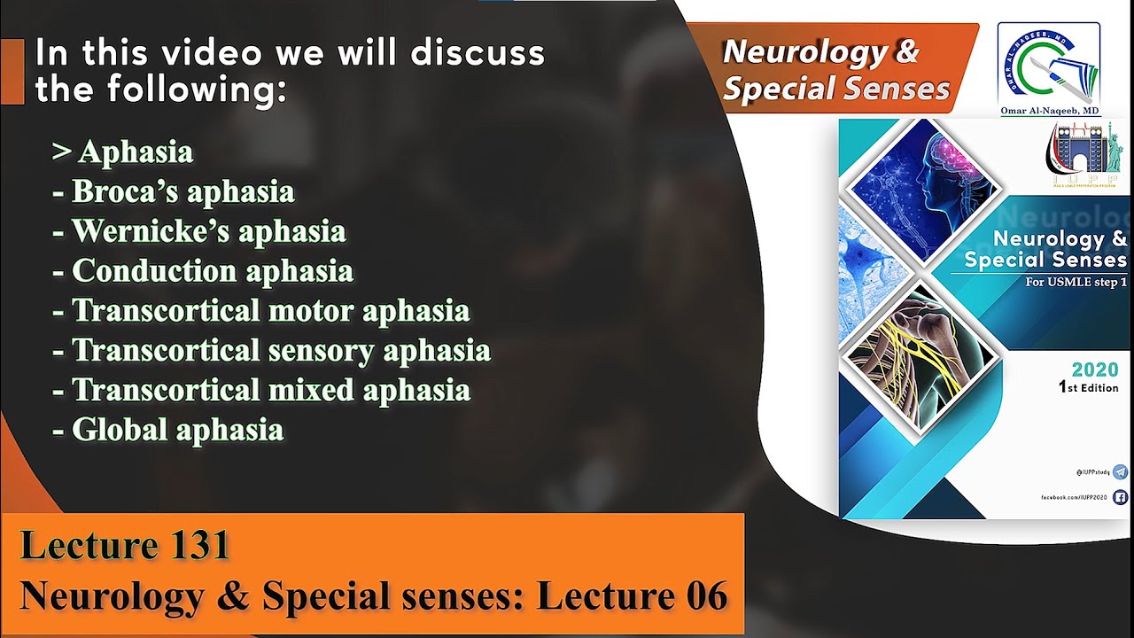 Aphasia:  Wernicke's vs Broca's