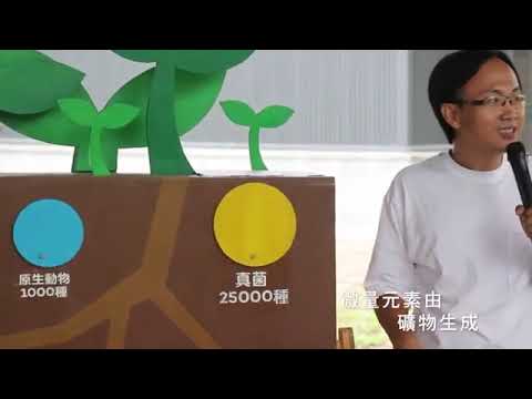 食農教育-走入稻田探究米的一生