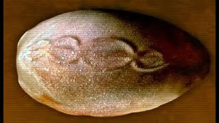 Why is there a DNA Double Helix Carved on this 7,000 Year old Portuguese Cosmic Egg