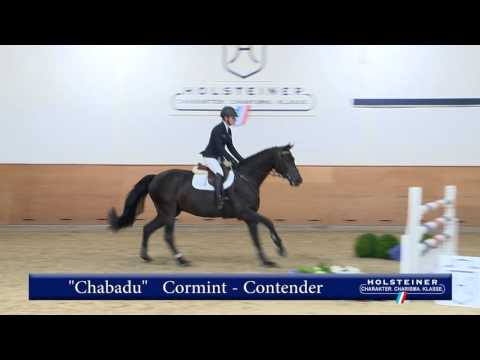 128. Chabadu v. Cormint - Contender