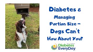 Diabetes and Managing Portion Size - Dogs Can