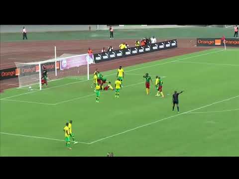 Cameroon 2-2 South Africa Can qualifications 2017 Nicolas N'Koulou  goal  2016/3/26