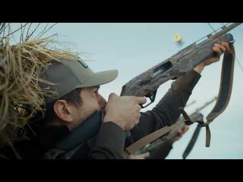 Deep Dive into the Beretta AX800 Suprema