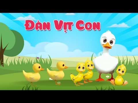 ĐÀN VỊT CON