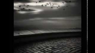 "And End to End"/ Steven Wilson  (Ali Samedov Photography)