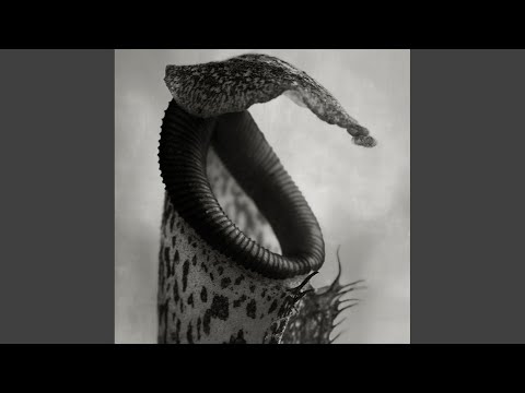 001.3 (Original Mix)