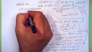 صورة 161 ★  الكناية الأصلية