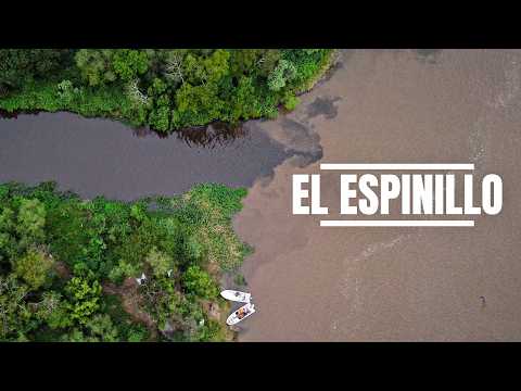 48 horas Campamento de Pesca en la Isla | Cocinamos Guiso de Armado y Capturamos Grandes Especies