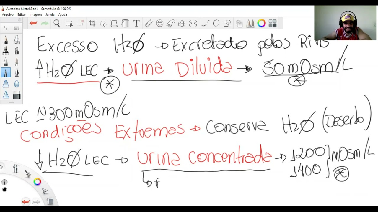 Capitulo 29 Guyton - Concentração e Diluição de Urina