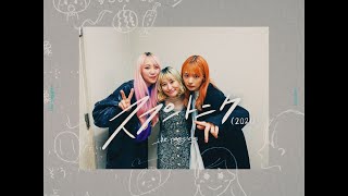 the peggies「スプートニク(2021)」Lyric Video