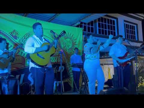 Mix Buscando olvido 🎶 - Grupo Alcívar En vivo #cover #sinti  #suenagrupoalcivar