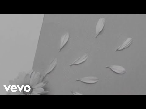 Video Placeholder