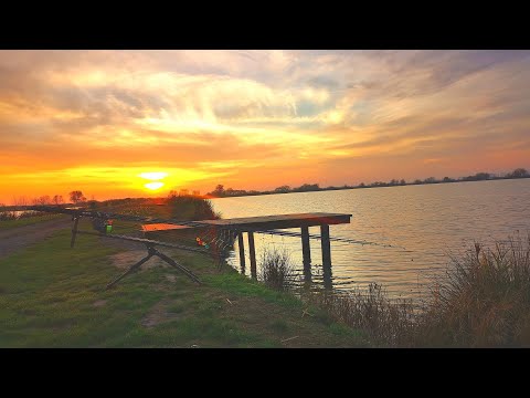 Sacoșul Turcesc - 48 de ore de toamnă târzie pe baltă