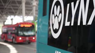Valencia Students and Employees Now Ride Free on LYNX