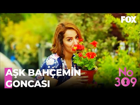 Nilüfer'den Kurtuluş'a Barışma Sinyalleri - No:309 50. Bölüm