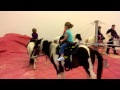Circus Pony Ride