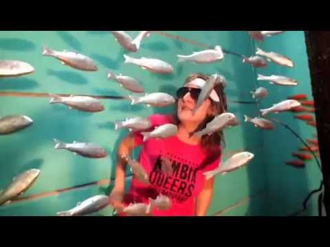 KUMBIA QUEERS - MIENTES (VIDEO OFICIAL)