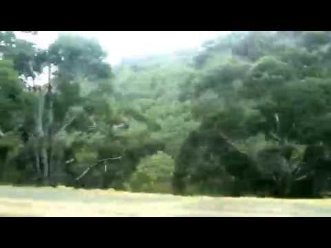 Sydney Trains On Location Episode 68 Thirroul to Waterfall OSCAR trip (Part 2)