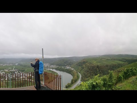 7. Etappe Mosel-Camino von Klüsserath nach Schweich