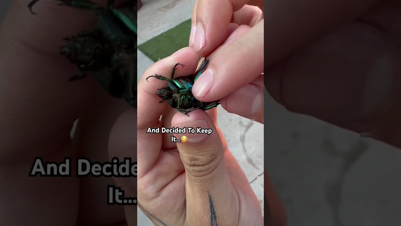 We Found A FBI Bug and Kept it As A Pet😳😱