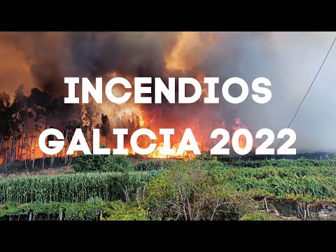 Los brutales incendios de Galicia en 2022 llegan a la Berlinale a través de la cámara de una cineasta danesa