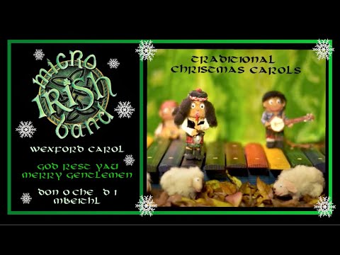 Micro Irish Band - Wexford Merry Gentlemen