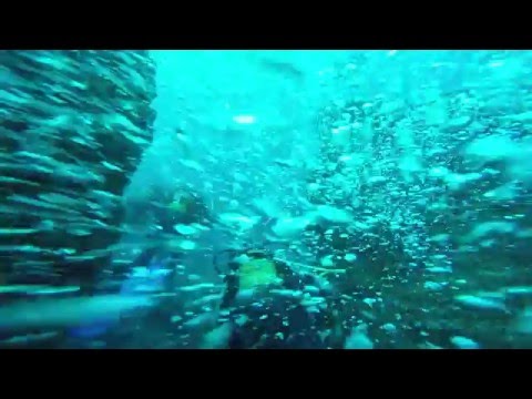 DKÄ   Madeira   Tauchen am Limit