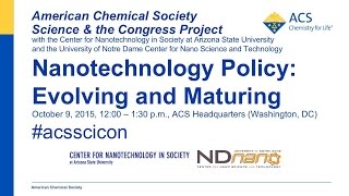 Nanotechnology Policy: Evolving and Maturing
