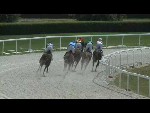 2017.06.25. 1. futam - NYERETLEN KÉTÉVESEK VERSENYE (IV.kat.) (szintetikus pálya)