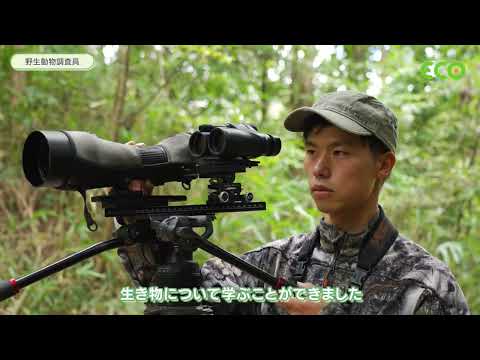 庭で動物保護を強化するための 5 つのヒント 自然と動物