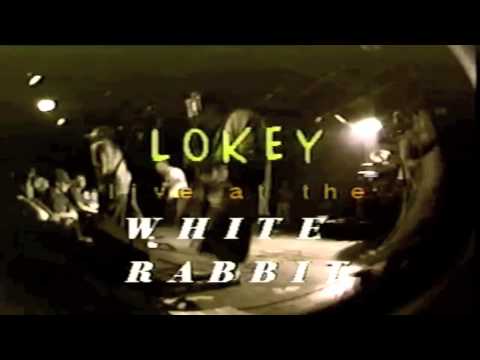 LOKEY White Rabbit 1999