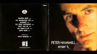 Peter Hammill  - The Unconscious Life