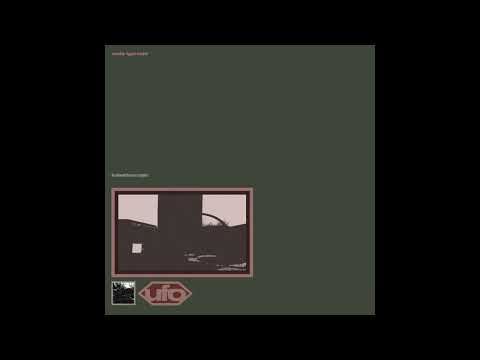 Wata Igarashi - Interweave