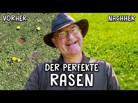 Transform a weedy meadow into a dreamy lawn 🌱 - Step-by-step instructions