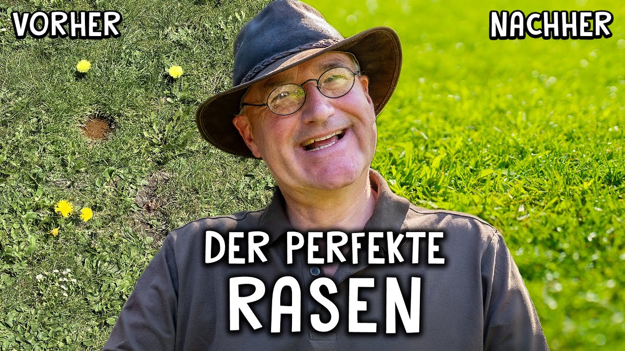 Rasenpflege Video 4