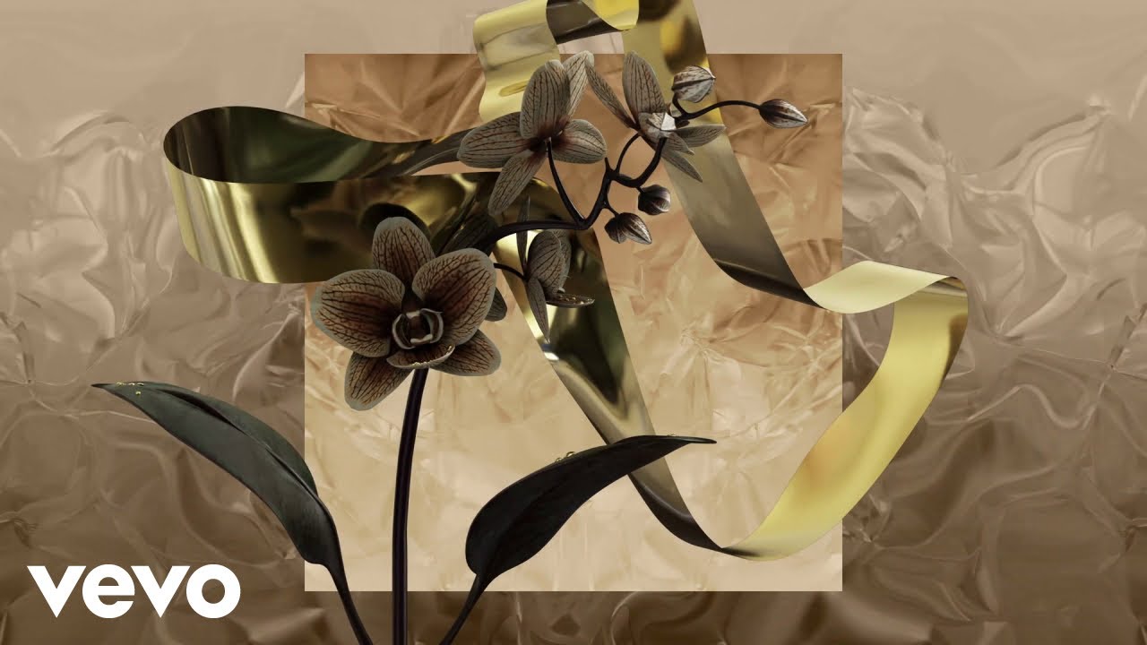 Roman Nagel - Canon in D (Visualizer)