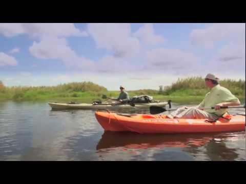 Florida Wildlife Corridor  Music - Into the Wind