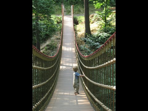 Erinnere dich an dein Erbarmen (zu Psalm 25 5,6)