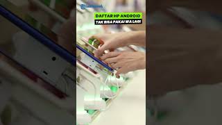 Gawat! Ini Sederet HP Android yang Tak Bisa Pakai WA Mulai 1 Oktober 2023, Ada Samsung hingga Asus