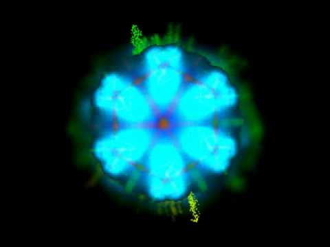 Rome - Blow it out of your ass