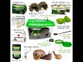 Land Snail Terrarium Starter Kit (Version 2.0) - Everything for Keeping Pet Snails in One Box