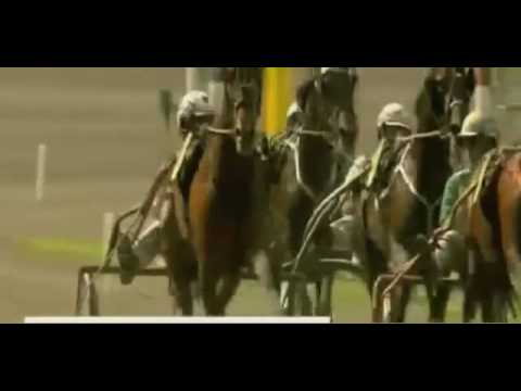 Sweden Cup 2010  IRVING RIVARCO (IT)  - Pietro Gubellini @ Solvalla