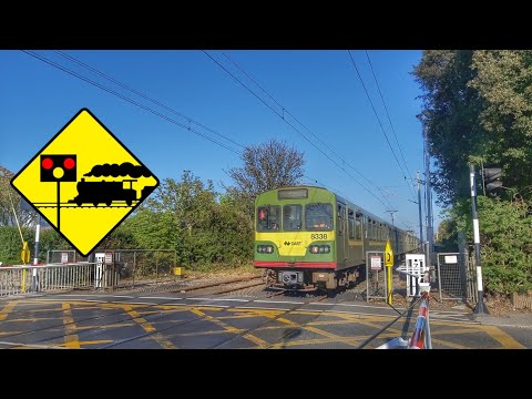 ×2 IÉ 8300 class dart trains - Baldoyle Level Crossing, Co Dublin