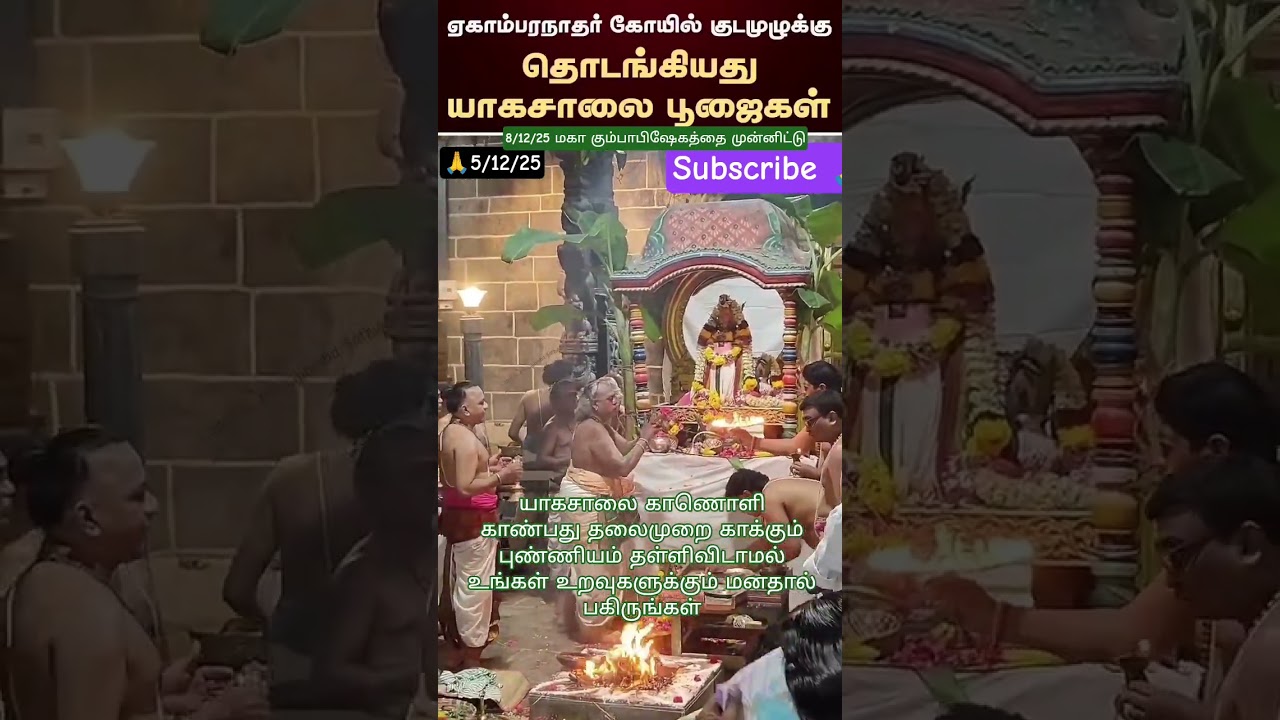 டிசம்பர் 8 கும்பாபிஷேகத்தை முன்னிட்டு ஏகாம்பரநாதர் யாகசாலை காணொளி #viral #shorts #trend #god #like